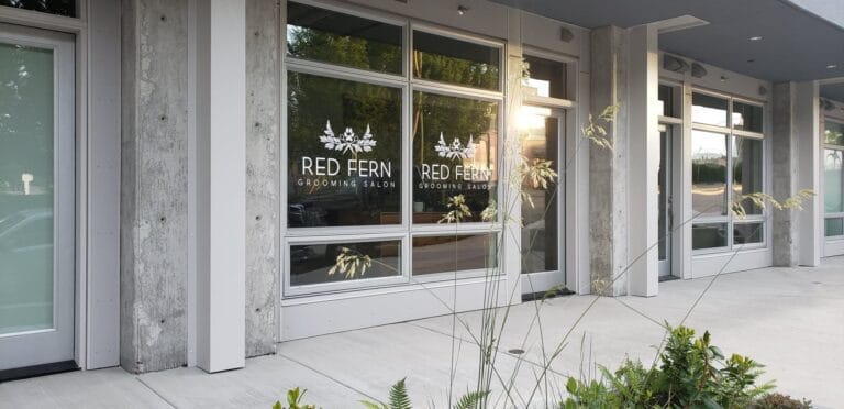 308663367 591680235988452 3956775747079309300 n 768x372