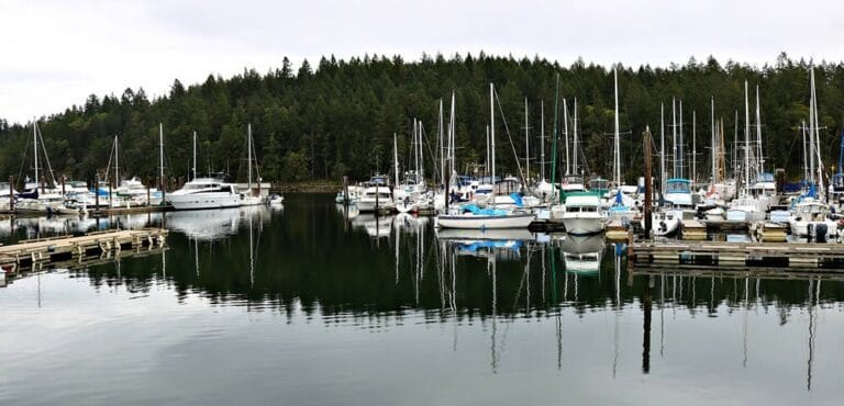 harbour 768x370