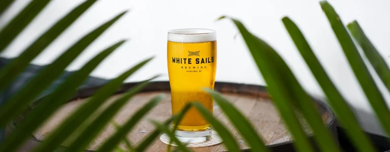 whitesails brewing 768x300